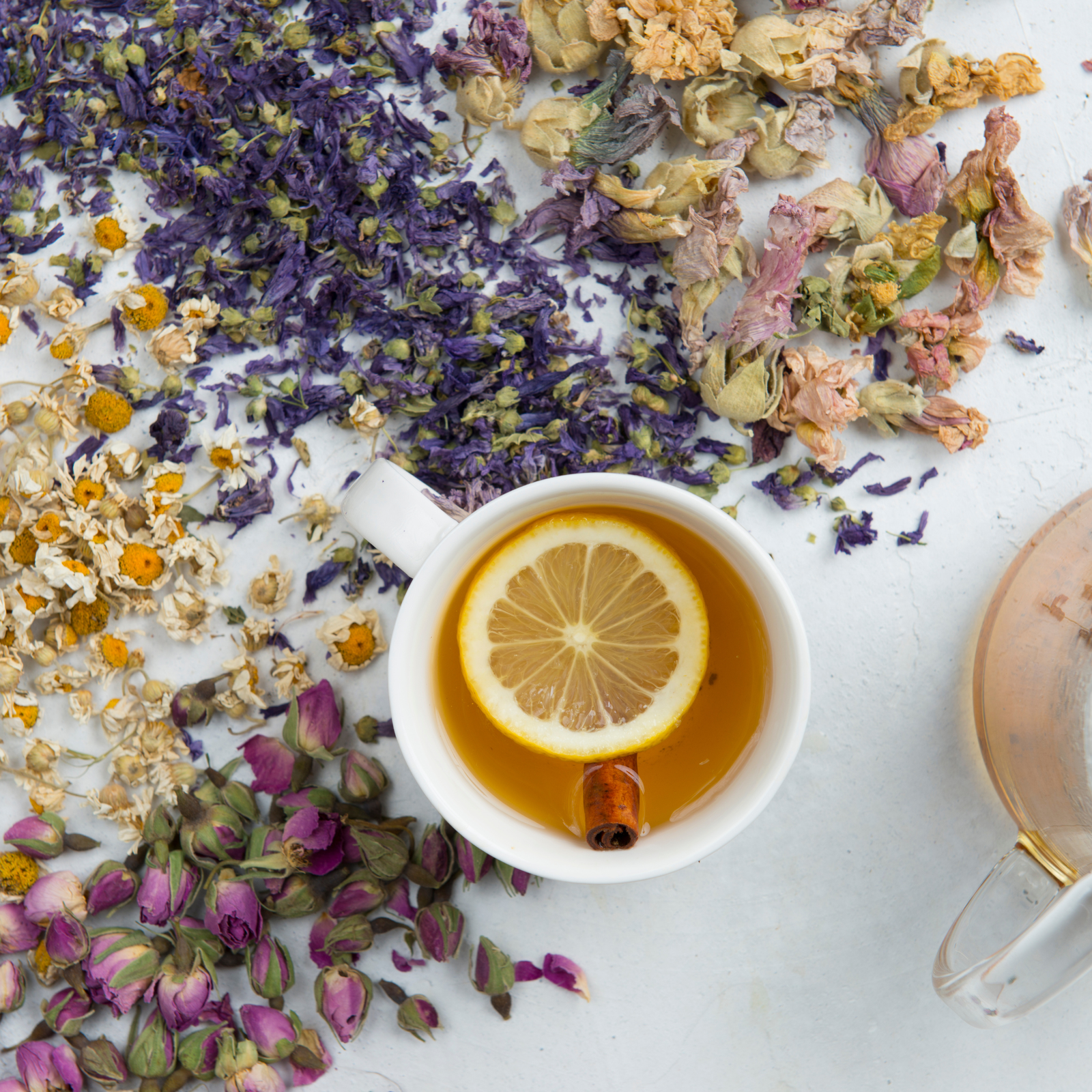 Whole botanicals, macro herb imagery